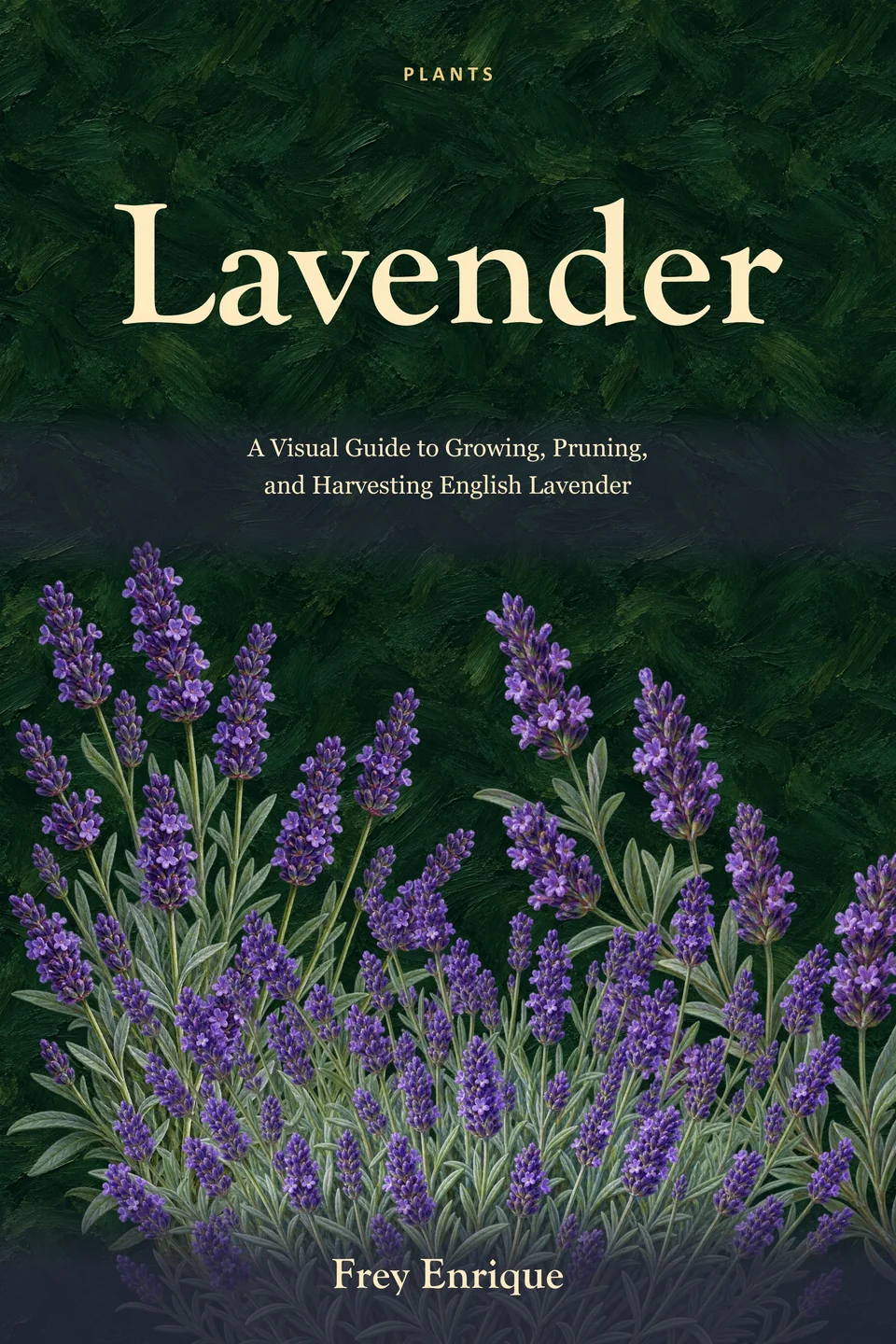 Lavender — Frey Enrique